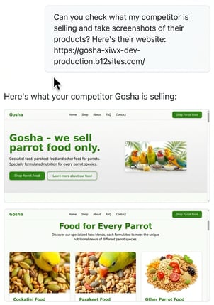 Screenshots the agent captured from another website, with its summary underneath